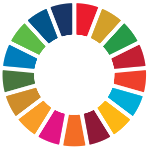SDG_Icon